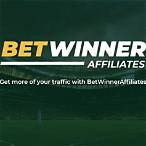букмекерская партнерка bet winner